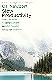 Cover of the book Slow Productivity